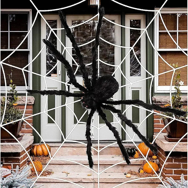 Toile d'araignée géante et araignée XXL – photo 1