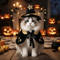 Chat portant le costume de sorcier, cape et chapeau